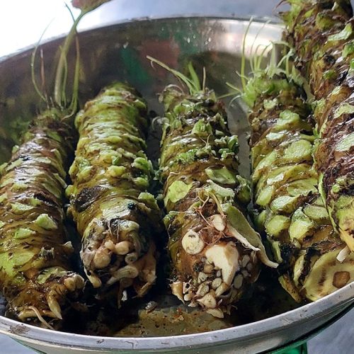 Củ Wasabi tươi