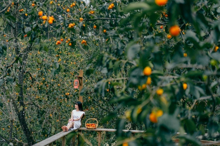 Các quán bánh mứt Đà Lạt nổi đình đám mà ai cũng ghiền