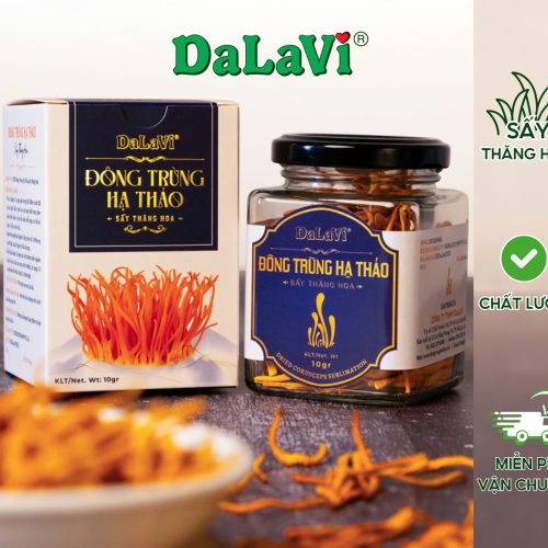 Đông trùng Hạ Thảo sấy thăng hoa