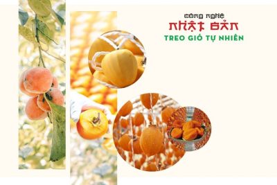 Mua hồng treo gió ở đâu ngon, chất lượng?