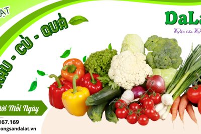 Bỏ sỉ rau củ quả cho các trường học, tươi ngon mỗi ngày