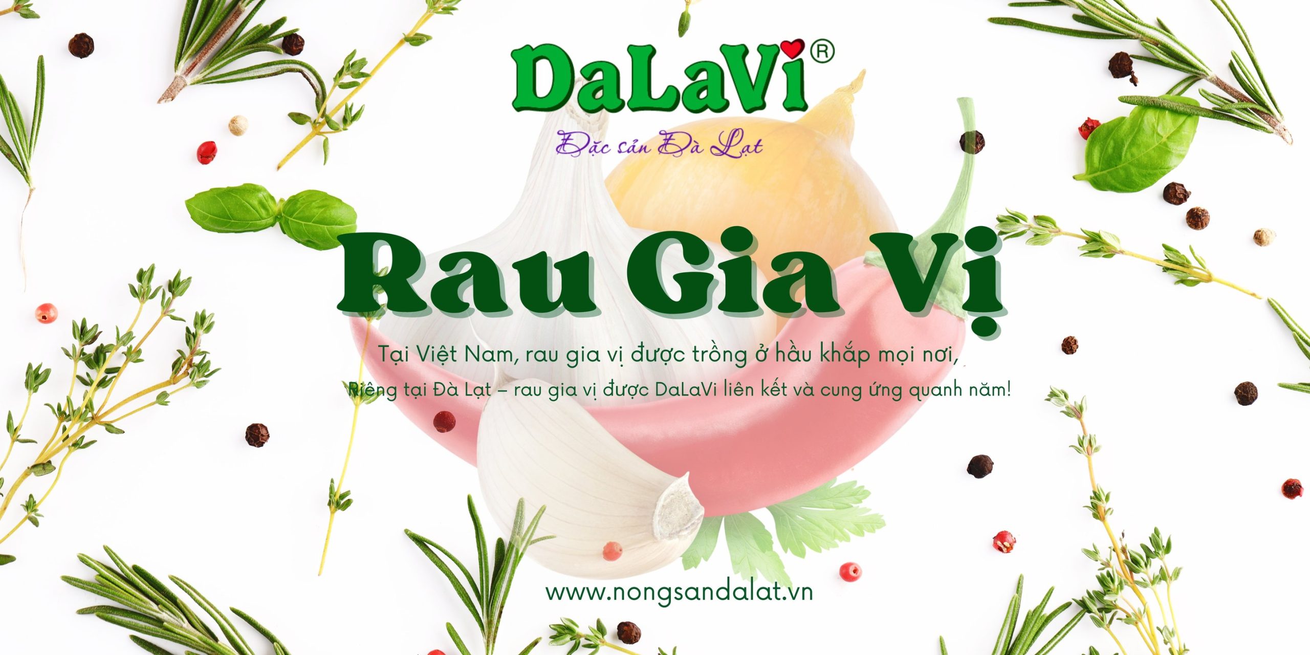 Cung cấp rau củ Lâm Đồng số lượng lớn, giá ưu đãi