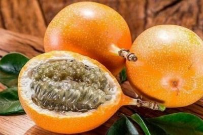 Chanh dây ngọt colombia – Thưởng thức vị ngọt ngào đặc trưng