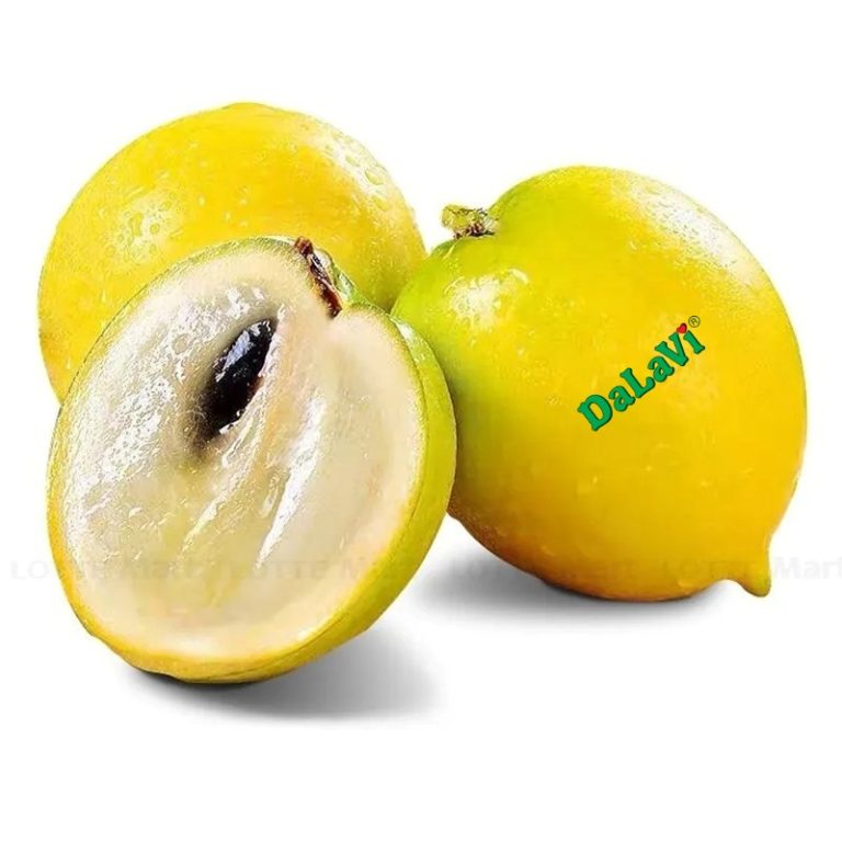 Vú sữa Hoàng Kim