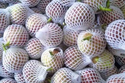 Cách bảo quản quả sung Mỹ không bị lên men mà vẫn tươi