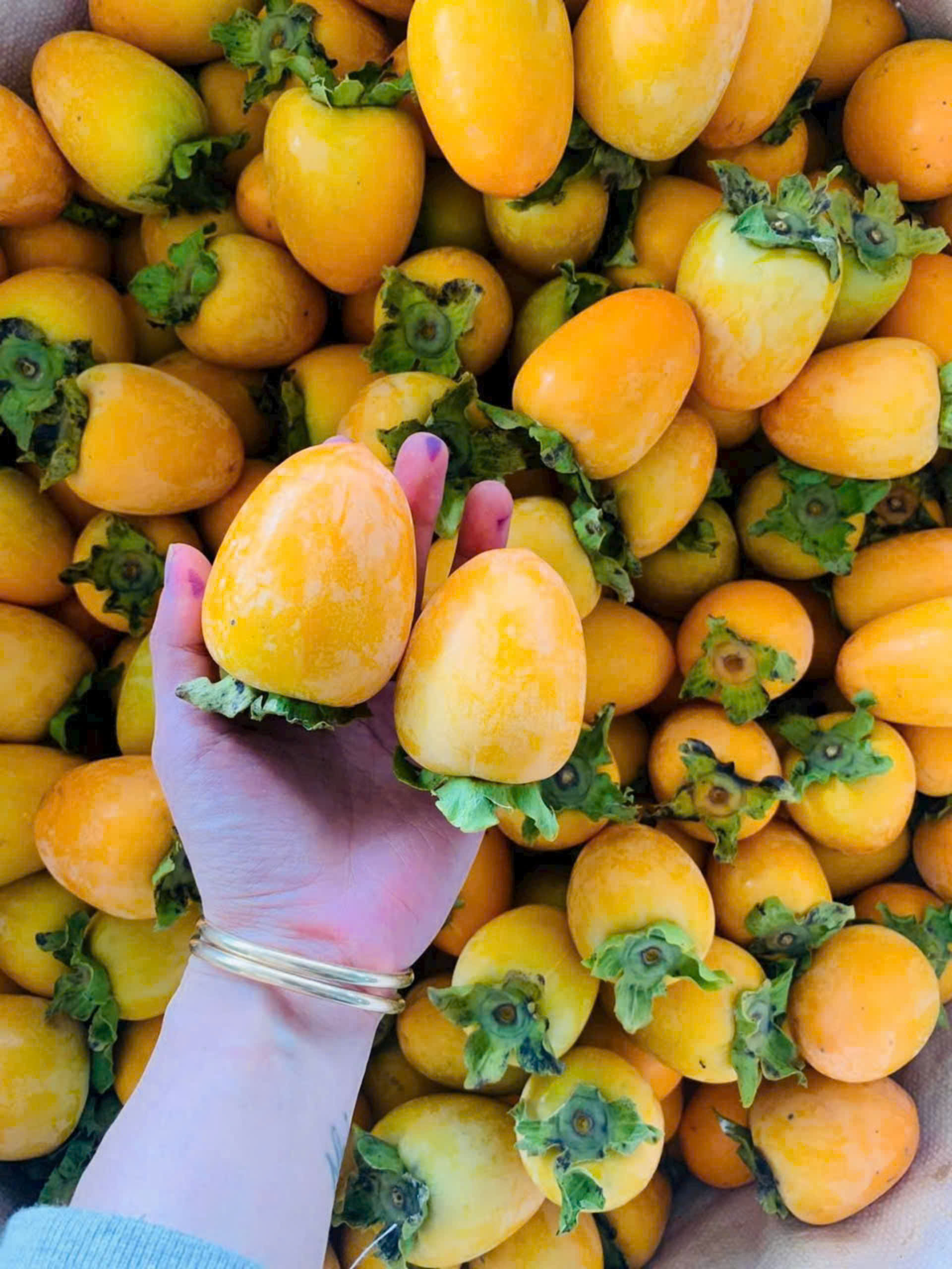 Mua sỉ hồng giòn Đà Lạt tại ASO FARM với 2kg, 5kg, 10kg