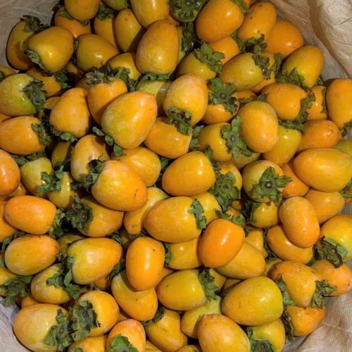 Hồng giòn Quế Hương