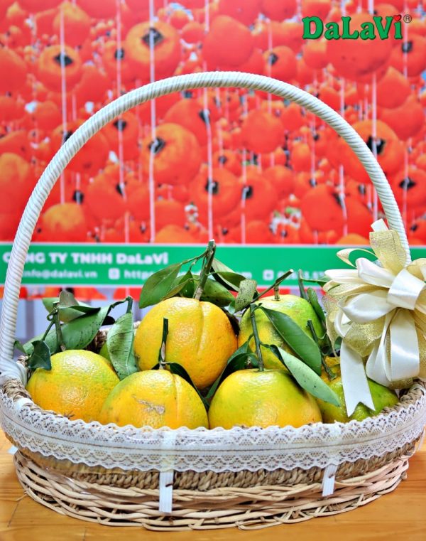 Cam Cara ruột đỏ không hạt - Hình ảnh 4