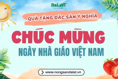 Dâu tây Đà Lạt – Quà tặng 20/11 ý nghĩa ngày nhà giáo Việt Nam