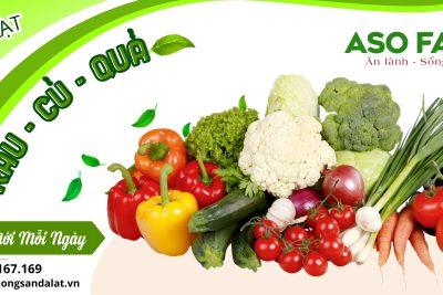 Mua sỉ rau củ quả Đà Lạt số lượng lớn từ ASO FARM