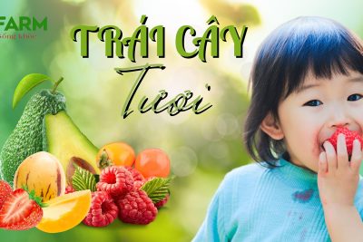 Nông sản tươi sạch – quà biếu tặng đặc sản tươi mát