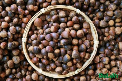 6 công dụng tuyệt vời của hạt dẻ rừng