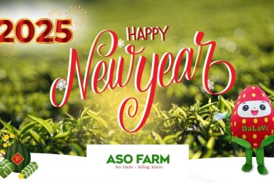 Mừng năm mới 2025 – Lời tri ân đến quý khách hàng từ ASO FARM
