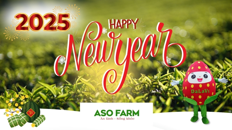 Mừng năm mới 2025 - Lời tri ân đến quý khách hàng từ ASO FARM