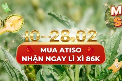 Mùa Atiso Đà Lạt – Mua ngay nhận lì xì 86k phát lộc đầu năm