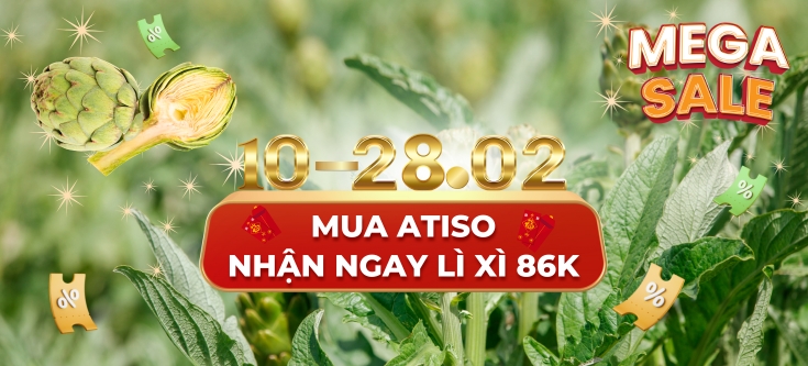 Mùa Atiso Đà Lạt - Mua ngay nhận lì xì 86k phát lộc đầu năm