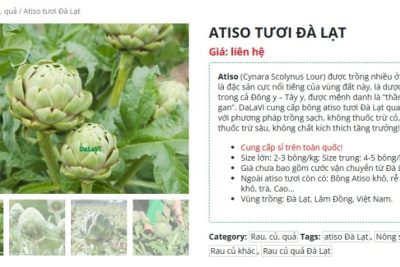 Bông atiso Đà Lạt – Mua bông tươi chất lượng từ vùng canh tác sạch