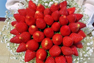 Quà tặng 8 tháng 3 – Quà tặng cho người phụ nữ bạn yêu