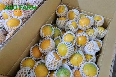 06 điều cần biết khi chọn mua chanh dây ngọt Colombia