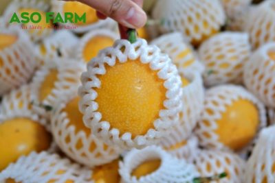 Địa chỉ mua chanh dây ngọt colombia chất lượng