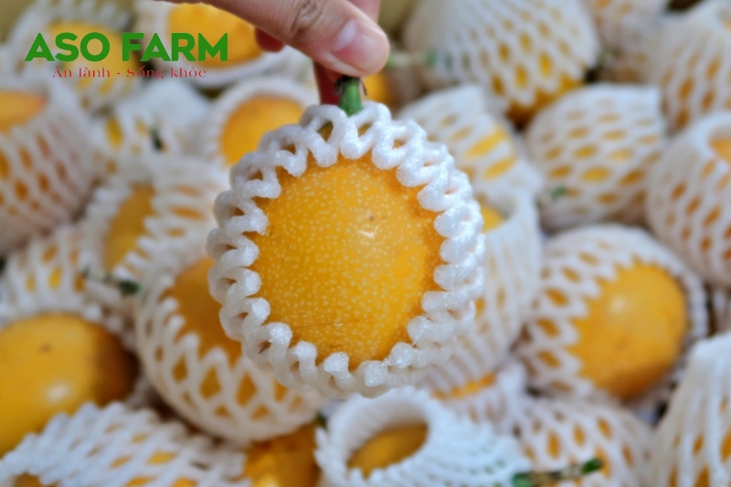 Địa chỉ mua chanh dây ngọt colombia chất lượng