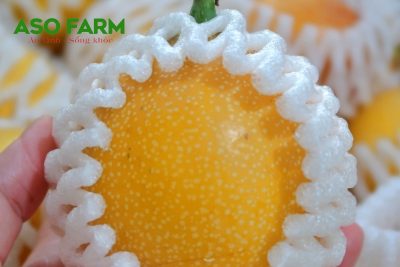 6 công dung bất ngờ của chanh dây ngọt Colombia