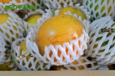 Mẹo bảo quản chanh dây Colombia đúng cách, an toàn
