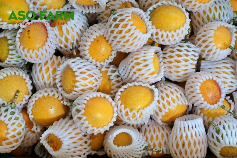 Chanh dây tím hay chanh dây vàng tốt hơn cho sức khỏe