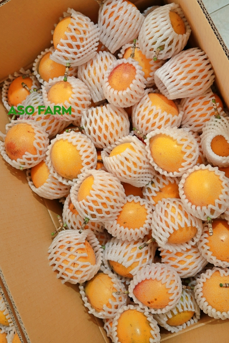 6 công dụng của chanh dây ngọt Colombia Đà Lạt