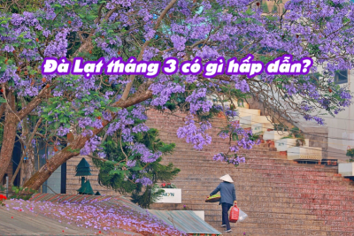 Đà Lạt tháng 3 có gì hấp dẫn? Cùng theo chân ASO FARM