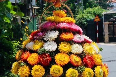 Giỏ hoa bất tử – Món quà ý nghĩa cho ngày 8 tháng 3