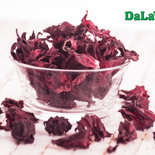 Hoa Atiso đỏ sấy khô