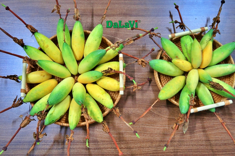 Mua chanh dây chuối giá ưu đãi, hàng chất lượng
