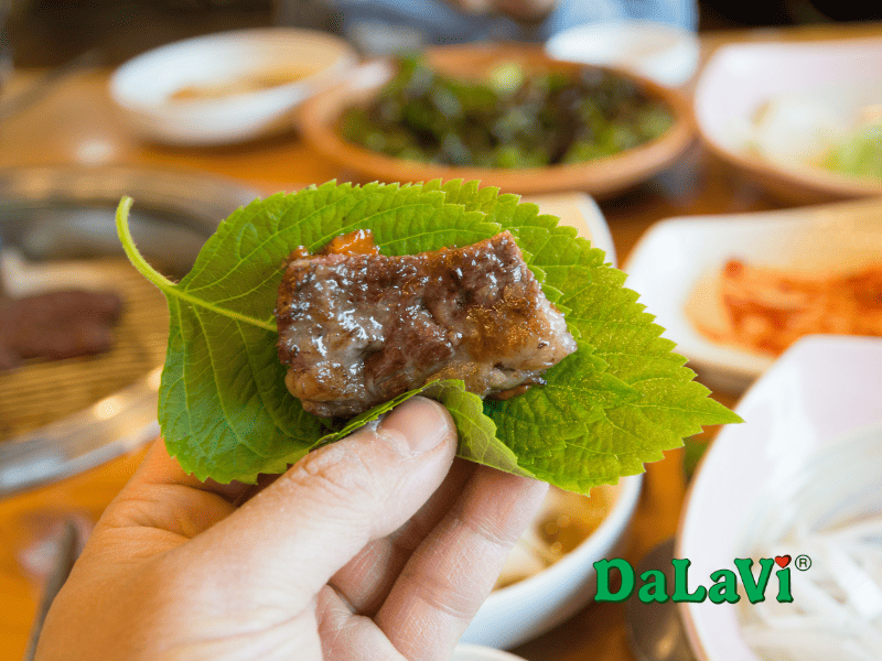 Mua sỉ lá mè Hàn Quốc trồng tại Lâm Đồng từ ASO FARM 