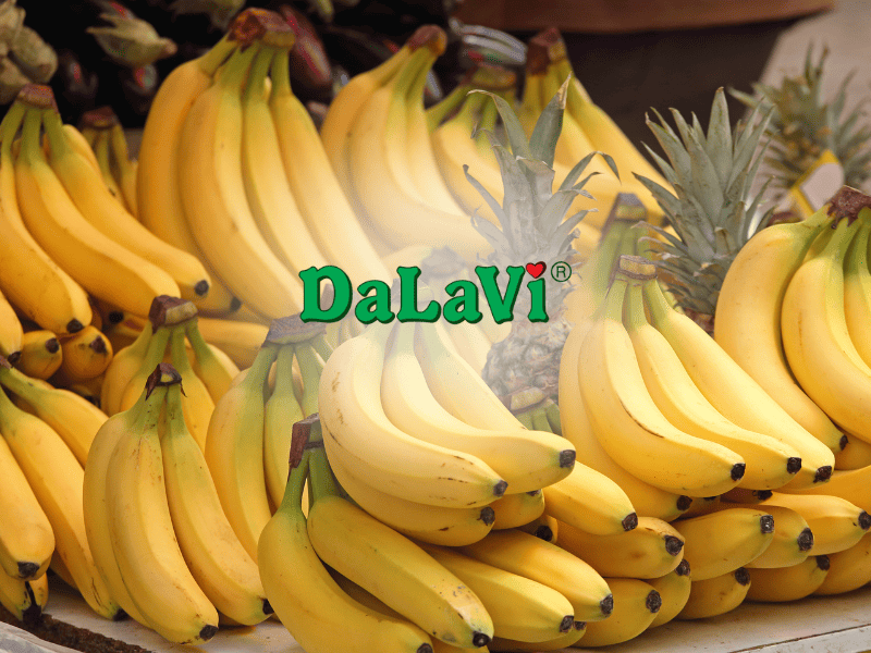 Bảo quản chuối Laba tươi Lâm Đồng lâu ngày, đúng cách