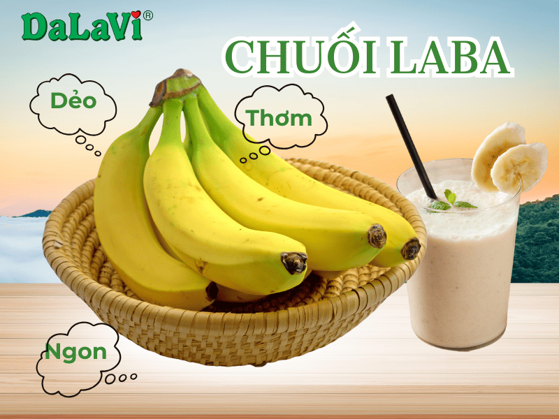 Bảo quản chuối Laba tươi Lâm Đồng lâu ngày, đúng cách