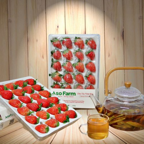 Dâu tây giống Nhật Bản