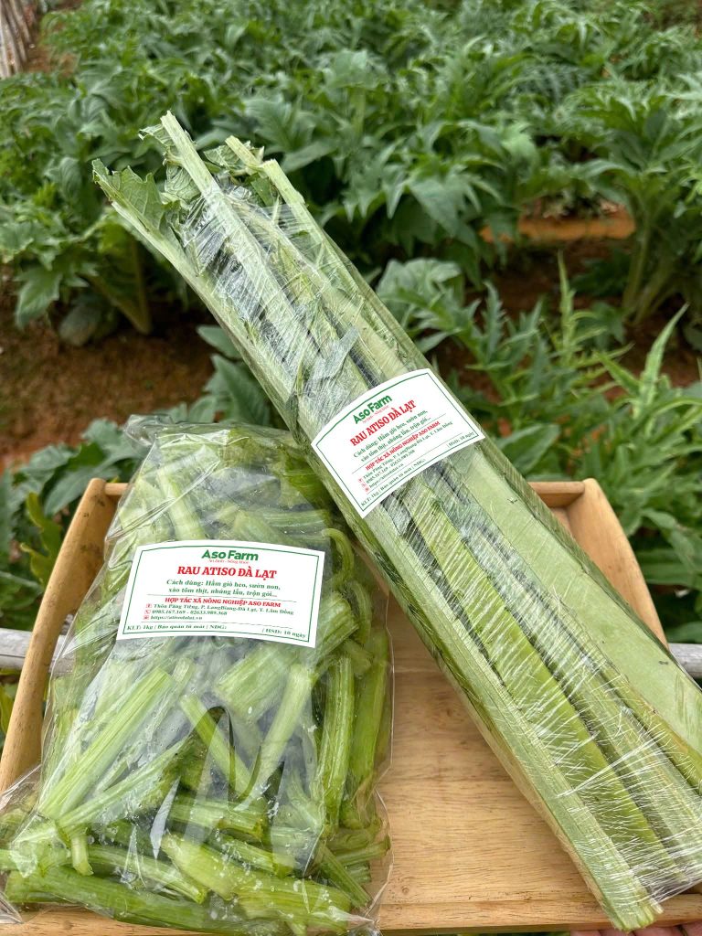 Rau Atiso Đà Lạt